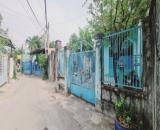 Bán đất tặng nhà cũ khu cù lao phố, phường Hiệp Hoà shr thổ cư