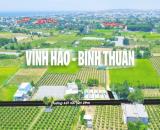 Ông Bác nhà kẹt tiền cần bán 2 lô đất biển Bình Thuận trong tháng