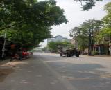 Bán lô đất Kinh doanh đường Ql2C, Thị Trấn Hợp Hòa, Tam Dương