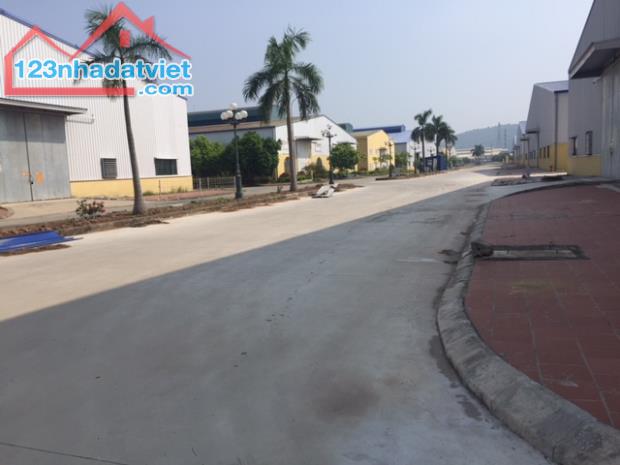 Cho thuê kho xưởng DT 500m2, 1600m2 KCN Lai Xá Hoài Đức Hà Nội. - 1