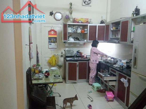 Bán nhà Phố Đặng Thái Thân, Kinh doanh cực đỉnh 32m2, 4 tầng, 5,5 tỷ - 4