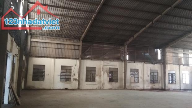 CHO THUÊ GẤP NHÀ XƯỞNG 2.500M2 MẶT TIỀN PHAN VĂN HỚN, HÓC MÔN - 3