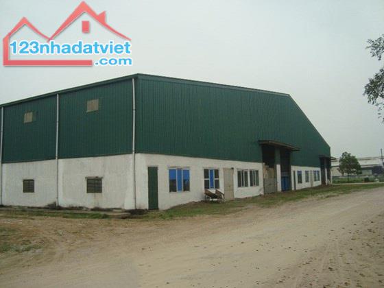 Cho thuê kho xưởng DT 2700m2 Đức Giang Long Biên Hà Nội. - 2