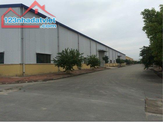 Cho thuê kho xưởng DT 2200m2, 3360m2, 5000m2, 20.000m2, KCN Đại Đồng Tiên Du, Bắc Ninh - 1