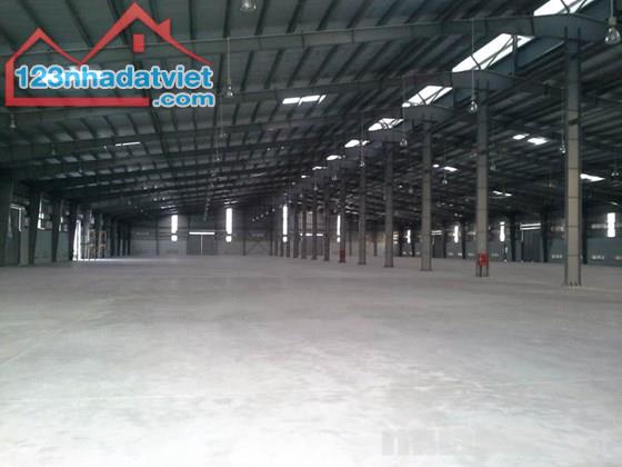 Cho thuê kho xưởng DT 5000m2 KCN Vsip, Từ Sơn, Bắc Ninh. - 1