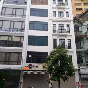 Bán Nhà Mặt Phố Giảng Võ, Đống Đa 58m, 6 Tầng, MT 4.5m, Kinh Doanh Đỉnh Cao, Giá 23 Tỷ. - 2