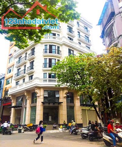 Nhà phố Trần Xuân Soạn, quận Hai Bà Trưng 210 m2 x MT 9 m. Đầu tư, Kinh doanh, Cho thuê.