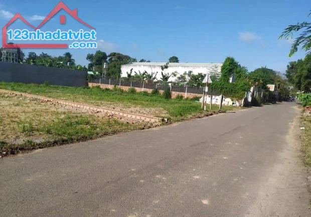 BÁN GẤP 3,6 SÀO ĐẤT 3.600M2 NGAY TỈNH LỘ 42M, SHR, ĐỐI DIỆN NHÀ MÁY XÍ NGHIỆP - 1