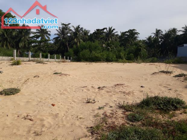 Cần bán giá tốt-Đất MT 22m Nguyễn Đình Chiểu-Hàm Tiến-Phan Thiết-DT 1.507m2. - 5