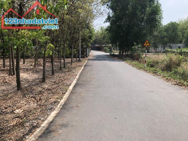 Chính chủ ra gấp lô đất L35 đường NL10 KĐT Mỹ Phước