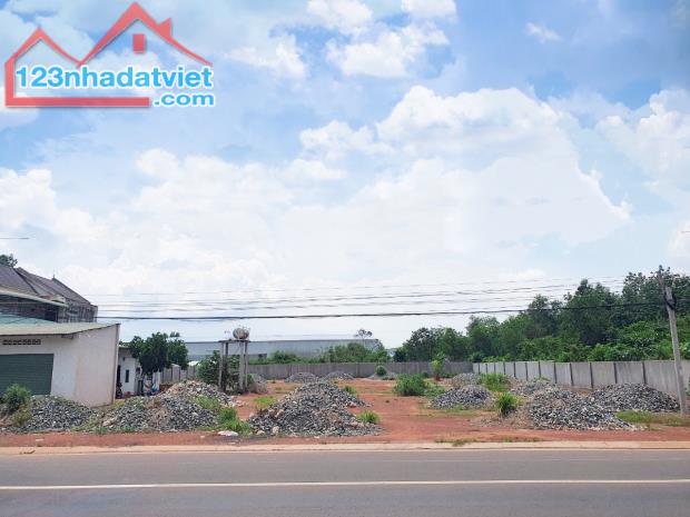Bán lô đất 1.000m2, ở thị xã, sát KCN xây dựng tự do giá NGỘP lên được thổ cư - 1
