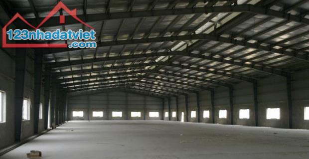 Cho thuê nhà xưởng, kho bãi tại TP Thanh Hóa, DT 500m2,1000m2,– 20.000m2 giá từ 40k/m2 - 1