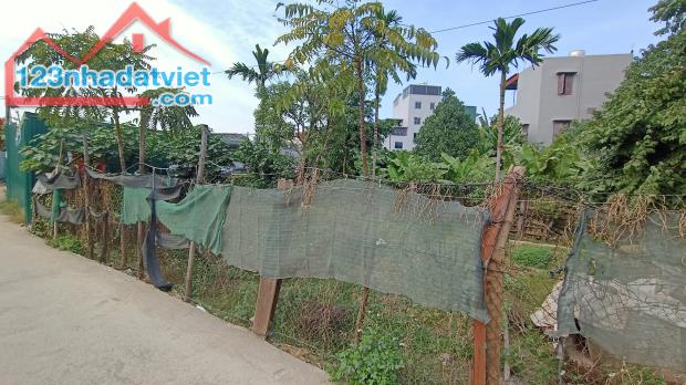 BÁN GẤP MẢNH ĐẤT TẠI BẰNG A, HOÀNG MAI – 74M2, MT 7.1M, 7 TỶ - 1