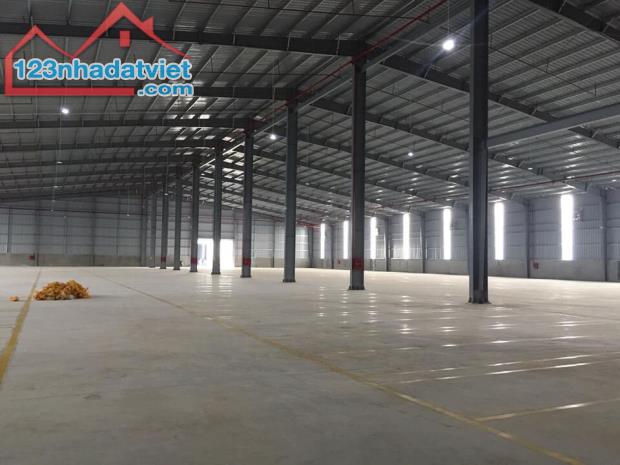 A81 Cho thuê nhà xưởng 2.900m2 - 5800m2 KCN Châu Đức, Bà Rịa Vũng Tàu