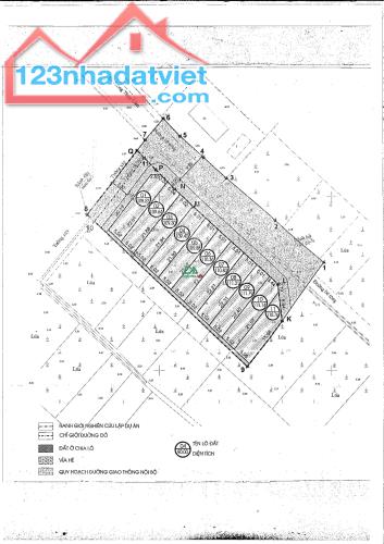 Bán đất đấu giá  X7 Hà Lâm Thụy Lâm Đông Anh - 3