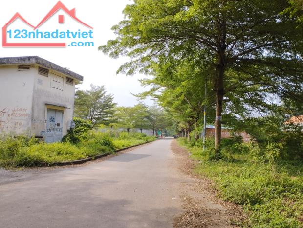 Cần bán 1 số nền đất dự án Thời báo kinh tế, đường Bưng Ông Thoàn, Q9. Có sổ đỏ riêng - 5