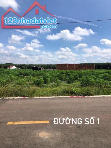 BÁN 500M2 ĐẤT THỔ CƯ SỔ RIÊNG ĐANG CHO THUÊ 4 TRIỆU THÁNG, DÂN CƯ ĐÔNG ĐÚC GIÁ  468 TR