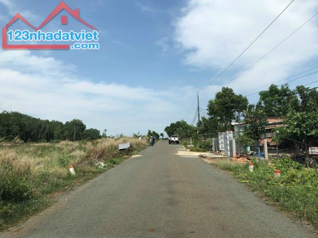 CẦN TIỀN TÔI BÁN 300M2 ĐẤT CẠNH CHỢ SỔ HỒNG RIÊNG MẶT TIỀN TỈNH LỘ DÂN ĐÔNG GIÁ 480 TR