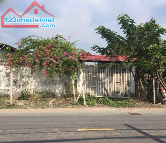 Cần bán gấp lô đất mặt tiền đường 8m Tân Xuân Hóc Môn giá 780tr - 1