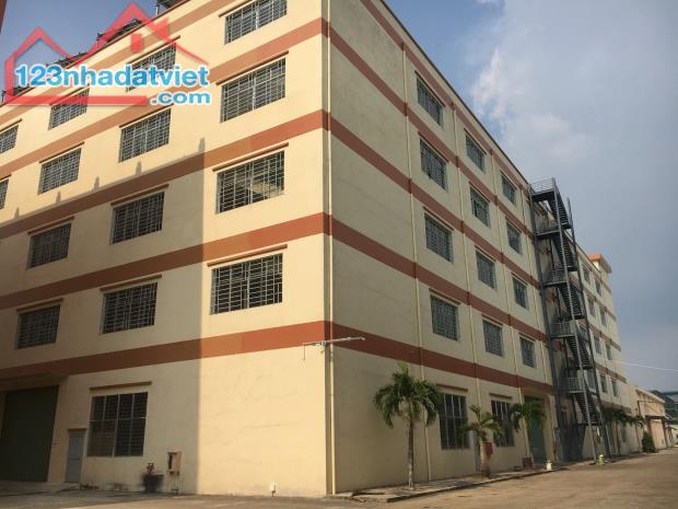 Cho thuê kho xưởng cao tầng 15.000m2 gần KCN Thịnh Phát, Long An - 2