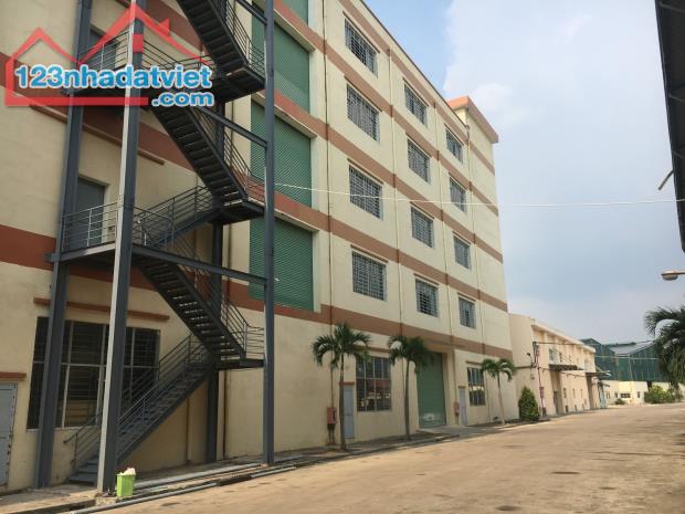 Cho thuê kho xưởng cao tầng 15.000m2 gần KCN Thịnh Phát, Long An - 3