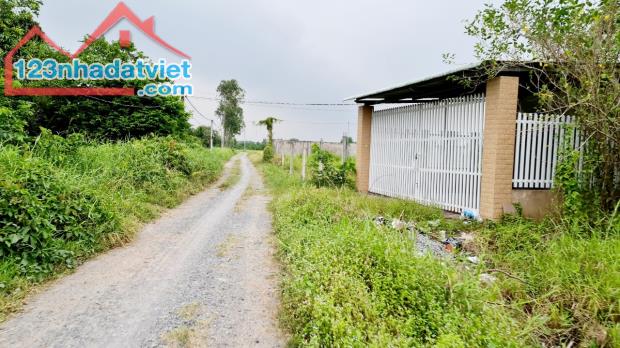 Bán đất giá mềm 10x58m( 586m2) giá  2 tỷ 500 triệu , xã Hòa Khánh Đông, Đức Hòa, Long An. - 2