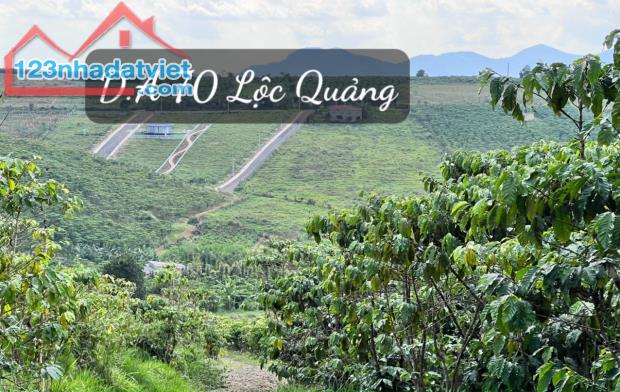 Ngộp quá rồi! Bán lô đất chưa qua đầu tư Đường 21, Lộc Quảng, Bảo Lâm, Bảo Lộc - QH Thổ cư - 3