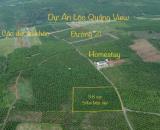 Ngộp quá rồi! Bán lô đất chưa qua đầu tư Đường 21, Lộc Quảng, Bảo Lâm, Bảo Lộc