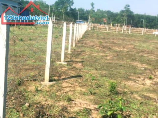 bán đất 2.650m2 thổ cư đất thị trấn Đức Hòa, Long An, SHR đường xe hơi giá 20 tỷ - 1