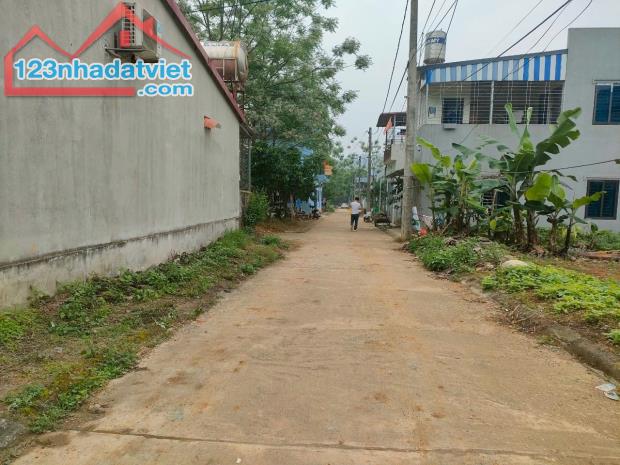 BÁN ĐẤT YÊN THÁI ĐÔNG YÊN – VỊ TRÍ ĐẸP – SINH LỜI CAO 102M 9MT GIÁ 1.55 TỶ - 1