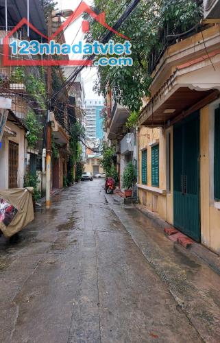 Bán Nhà Phố Cát Linh - Biệt Thự - Lô Góc - 100m2x4T - 17 tỷ. - 3
