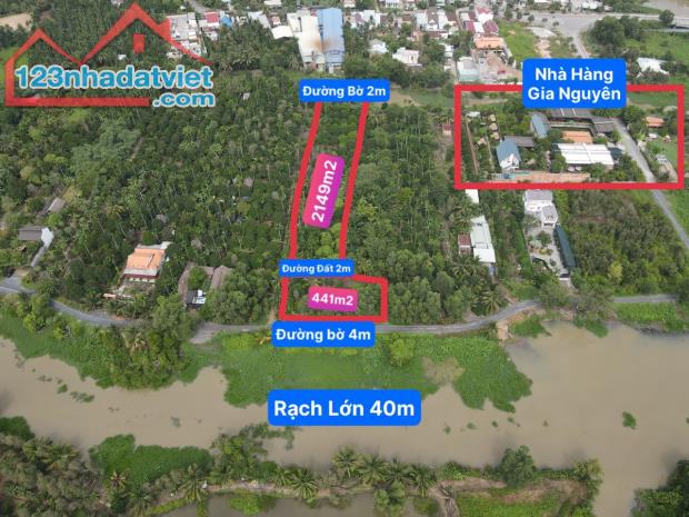 Bán Vườn Măng Cụt, Mít... 2600m2 View Rạch Lớn, Bên Cạnh Nhà Hàng Gia Nguyên, An Sơn