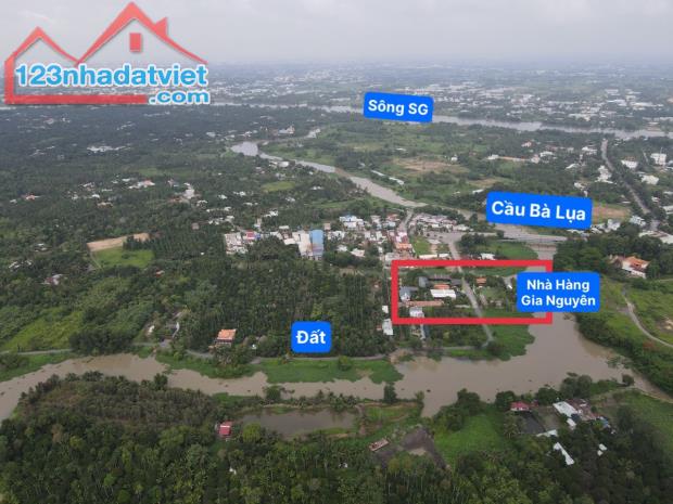 Bán Vườn Măng Cụt, Mít... 2600m2 View Rạch Lớn, Bên Cạnh Nhà Hàng Gia Nguyên, An Sơn - 1