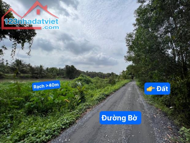 Bán Vườn Măng Cụt, Mít... 2600m2 View Rạch Lớn, Bên Cạnh Nhà Hàng Gia Nguyên, An Sơn - 3
