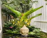 bán nhà HXH Ông Ích Khiêm p14 q11 DTS 120 giá 55 tỷ TL