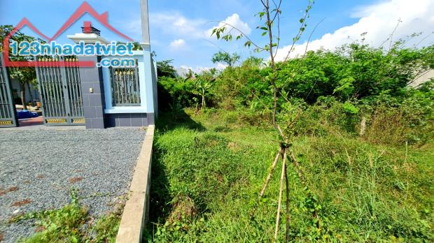 Bán đất mặt tiền nhựa Tân Hội 8x40 giá 5.2 tỷ xã Đức Lập Thượng, Đức Hòa, Long An - 1