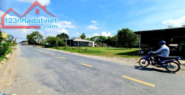 Bán đất mặt tiền nhựa Tân Hội 8x40 giá 5.2 tỷ xã Đức Lập Thượng, Đức Hòa, Long An - 2