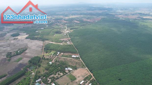 Bán đất sào Bình An. Long Thành. Đồng Nai. Cách sân bay Long Thành 7km. - 1