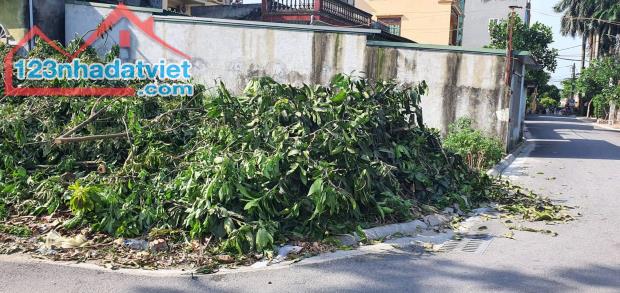 Bán đất Đồng Nhân Hải Bối ô tô 1 bước ra đường lớn 50m 5.2 tỷ Đông Anh