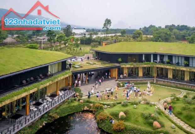 Bán gấp resot lương sơn hoà bình 13000 m2 doành tiền 2 tỷ/năm 155 tỷ - 1