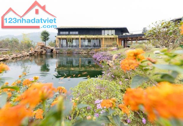 Bán gấp resot lương sơn hoà bình 13000 m2 doành tiền 2 tỷ/năm 155 tỷ - 2