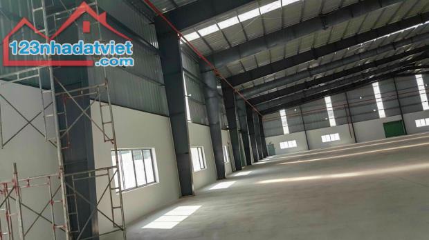 CHO THUÊ GẤP KHO XƯỞNG MỚI 5100M2 NGAY MẶT TIỀN KCN TÂN ĐÔ, ĐỨC HÒA, LONG AN - 3