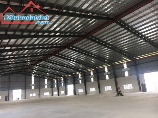 CHO THUÊ XƯỞNG MỚI 6800M2 KCN HẢI SƠN ĐỨC HÒA ĐÔNG, ĐỨC HÒA, LONG AN - 3