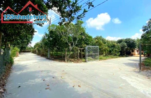 Bán vườn xoài 1100m2, có sẵn 100m2 thổ cư, nở hậu, đường bê tông, view hồ Trị An. - 2