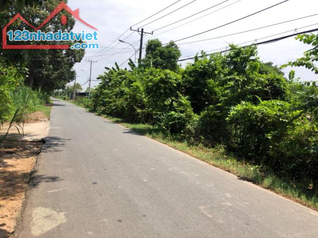 Bán đất MT Trương Thị Kiện, Thái Mỹ, Củ Chi: 3,150m2, giá 4,8 triệu/m2 - 1