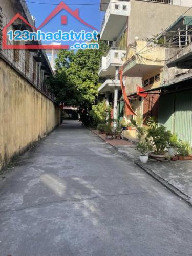 🏡🏡Đất Ngõ Nguyễn Hữu Cầu oto đỗ cửa - 2