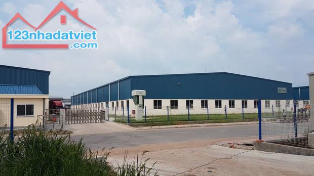 Cho thuê kho,nhà xưởng 5000m2-10000m2 thuộc Tân Đông Hiệp,Dĩ An, Bình Dương