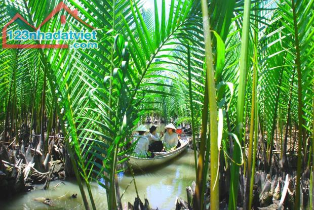Bán lô góc mặt tiền Mỹ Trà Mỹ Khê ngay khu du lịch sinh thái rừng dừa nướ Tịnh Khê - 4