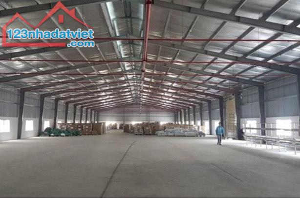 CHO THUÊ XƯỞNG 3300M2 TẠI BẾN LỨC, LONG AN