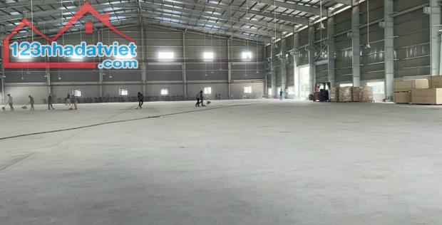 Cho thuê kho xưởng 3000m2, 5500m2, 11000m2 tại Lương Bình, Bến Lức, Long An